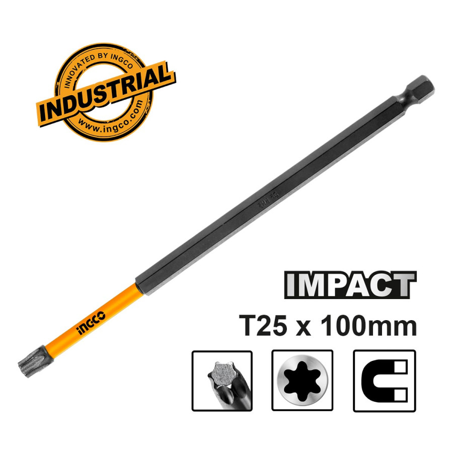 Κατσαβιδόμυτη Torx Impact T25x100mm